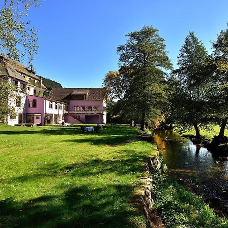 Logis Hotel Des Vosges Севен Экстерьер фото